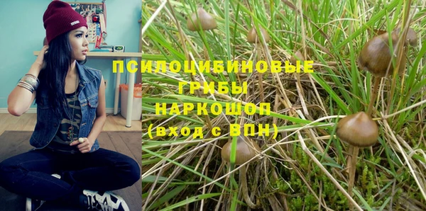 мяу мяу мука Алексин