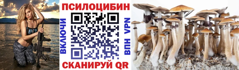 Галлюциногенные грибы MAGIC MUSHROOMS  Новоаннинский 